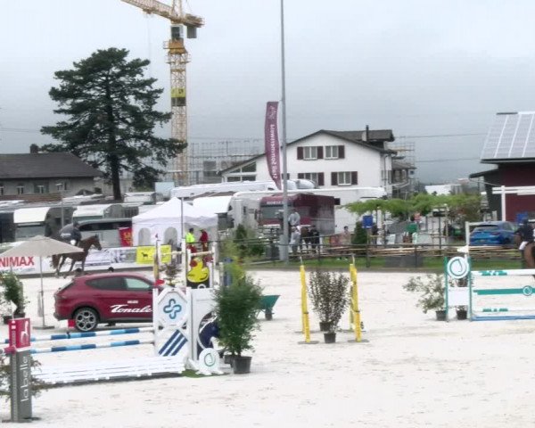 Reitturnier Gossau 2022