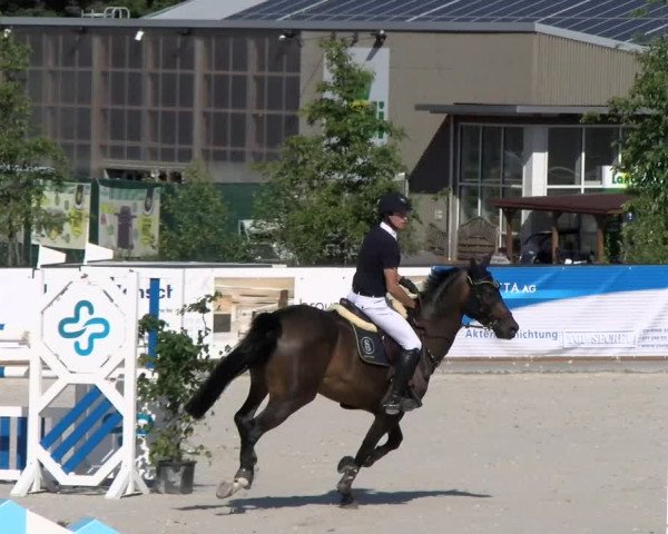Reitturnier Gossau 2022