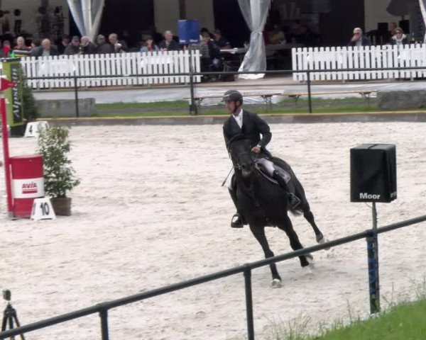 Reitturnier Gossau 2022