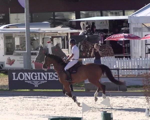 Reitturnier Gossau 2022