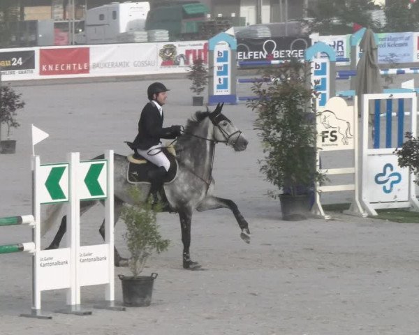 Reitturnier Gossau 2022