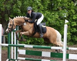 jumper Steendieks Terence Hill (German Riding Pony, 2005, from Tilo)