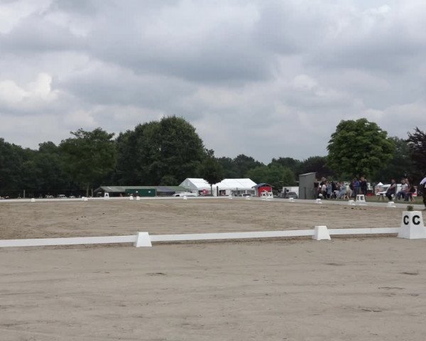 Reitturnier Wohlesbostel 2022