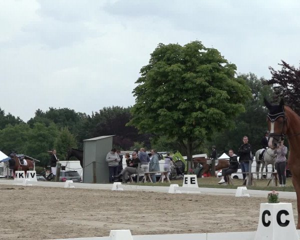 Reitturnier Wohlesbostel 2022