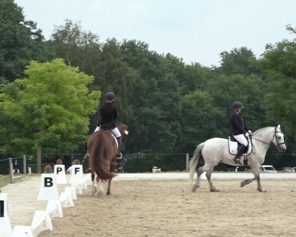 Reitturnier Wohlesbostel 2022