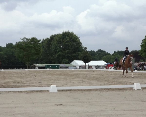 Reitturnier Wohlesbostel 2022