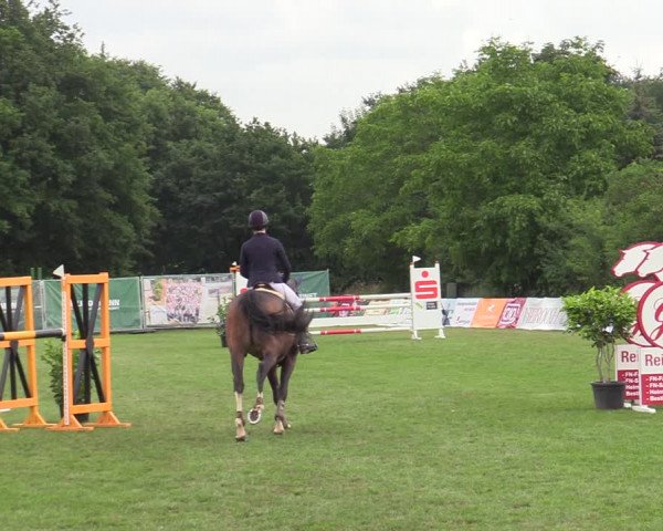 Reitturnier Wohlesbostel 2022