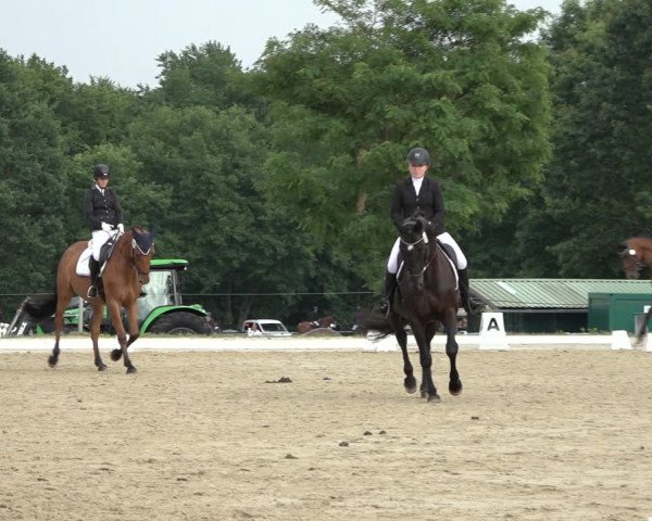 Reitturnier Wohlesbostel 2022