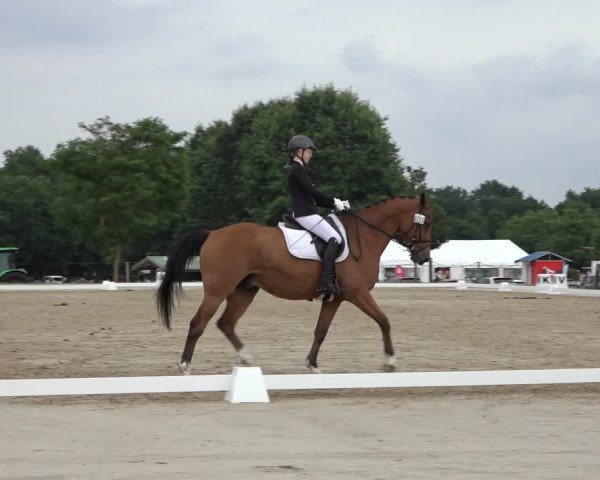 Reitturnier Wohlesbostel 2022
