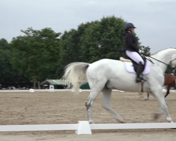 Reitturnier Wohlesbostel 2022