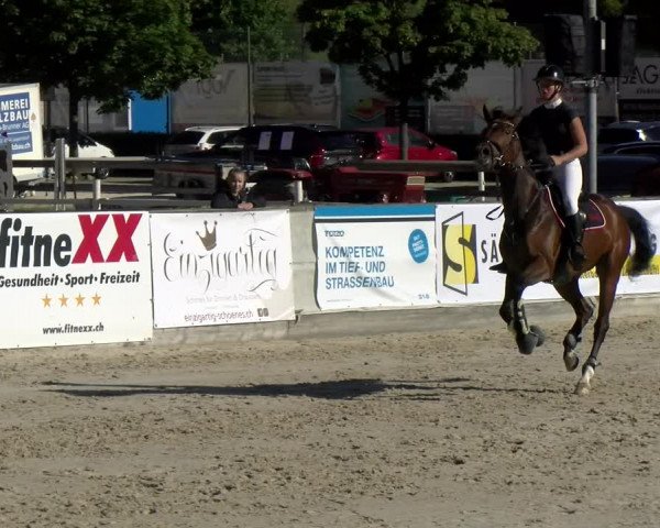 Reitturnier Balsthal 2022