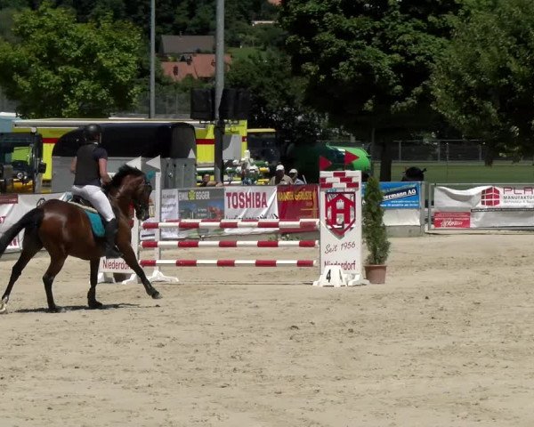 Reitturnier Balsthal 2022