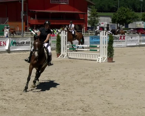 Reitturnier Balsthal 2022