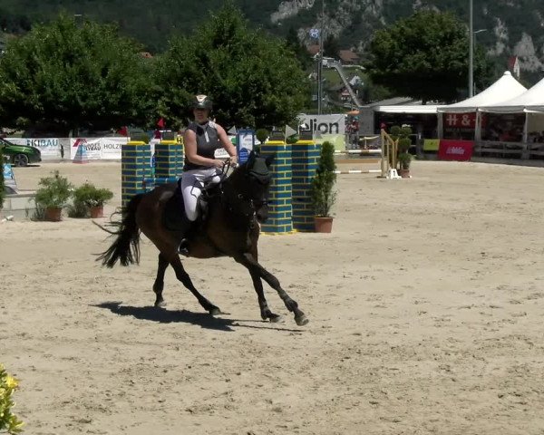 Reitturnier Balsthal 2022