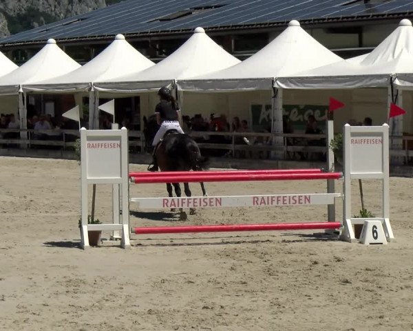 Reitturnier Balsthal 2022