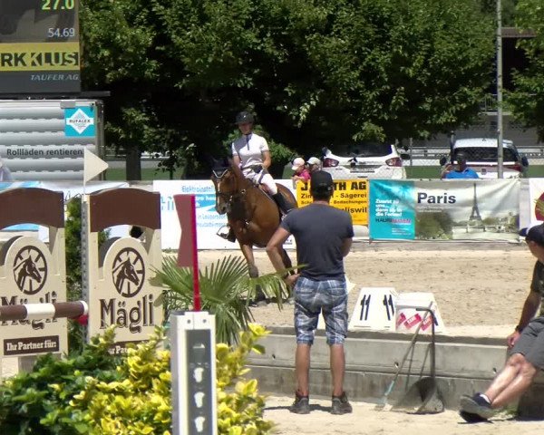 Reitturnier Balsthal 2022