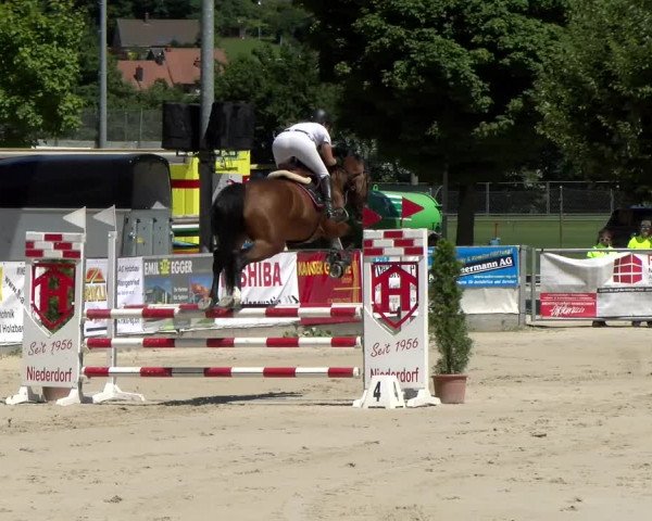 Reitturnier Balsthal 2022