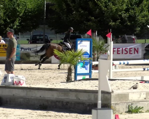 Reitturnier Balsthal 2022