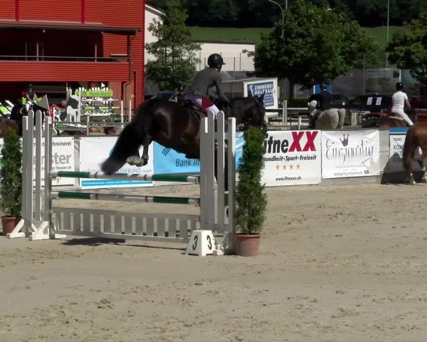 Reitturnier Balsthal 2022