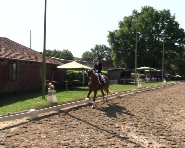 Reitturnier Barlo-Bocholt 2022