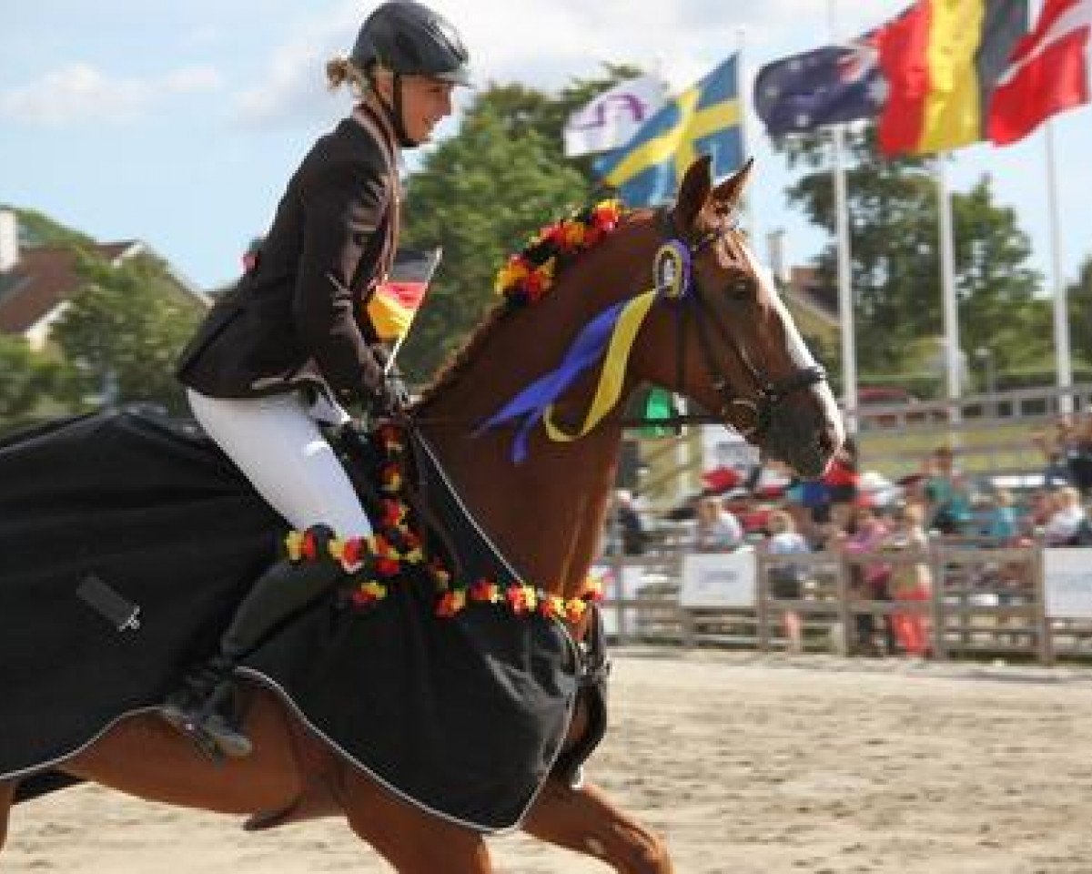 Springpferd Louis M (Rheinländer, 2005, von Lissabon 29)