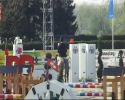 jumper Nick des Hayettes Z (Zangersheide riding horse, 2004, from Nabab de Rêve)