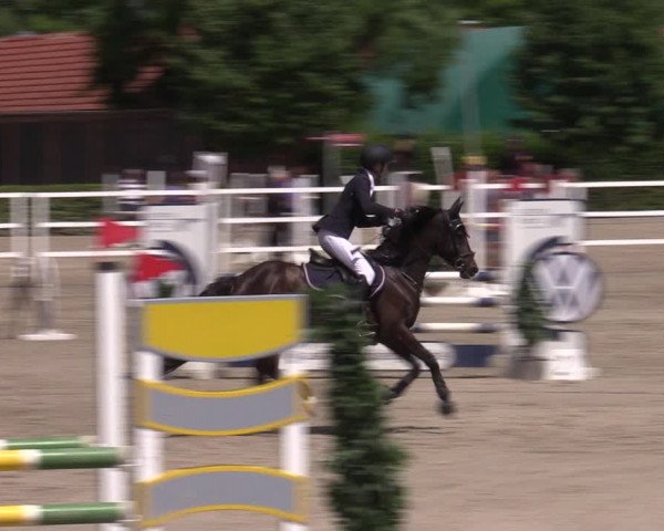 Reitturnier Neustadt/Dosse 2022