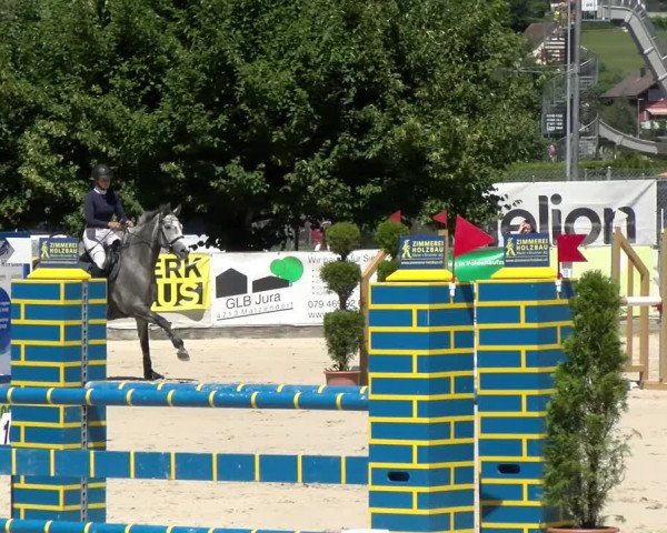 Reitturnier Balsthal 2022