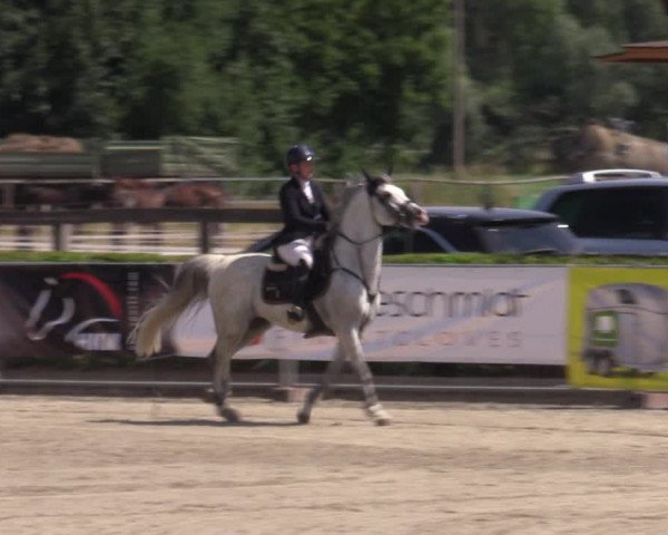 Reitturnier Neustadt/Dosse 2022