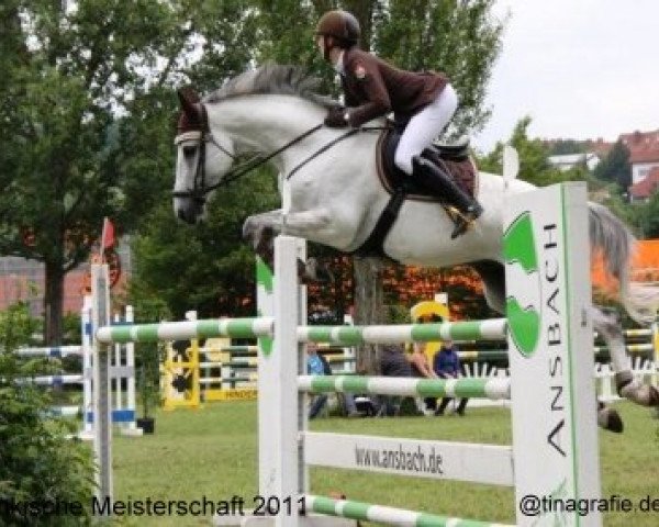 jumper Cool Cad (Holsteiner, 2003, from Caproni)