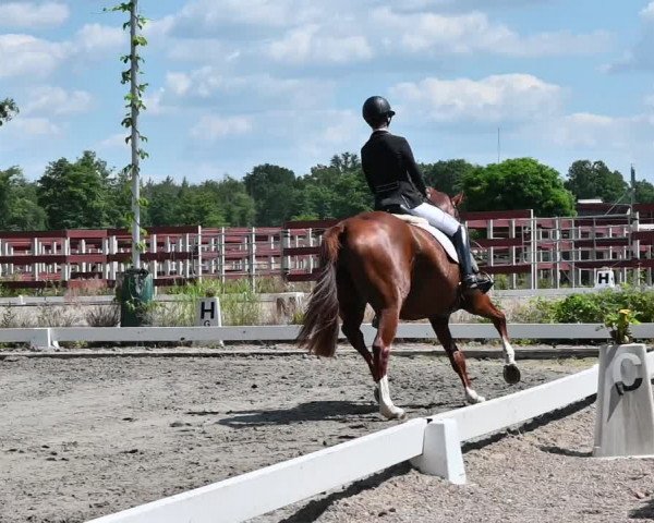 Reitturnier Schönwalde-Glien 2022
