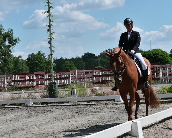 Reitturnier Schönwalde-Glien 2022