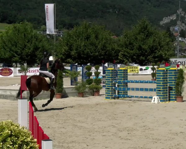 Reitturnier Balsthal 2022