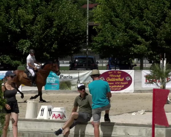 Reitturnier Balsthal 2022