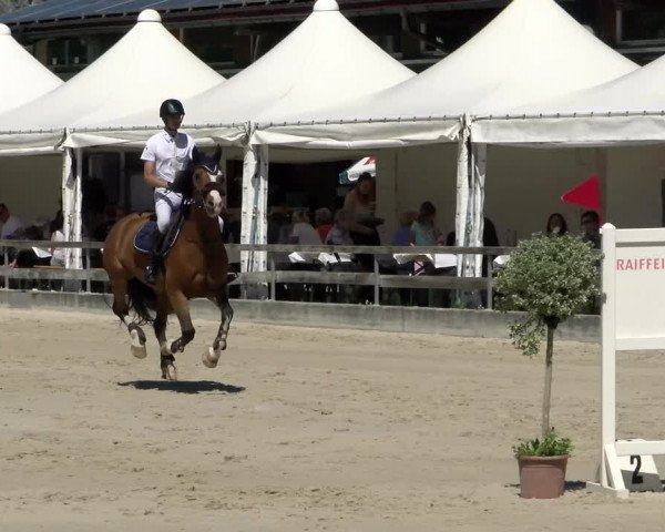 Reitturnier Balsthal 2022