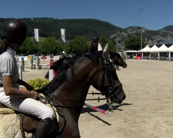 Reitturnier Balsthal 2022