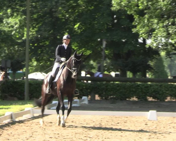 Reitturnier Barlo-Bocholt 2022