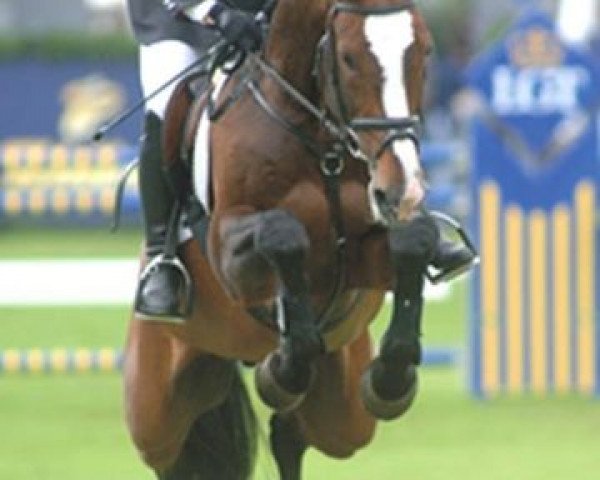 Deckhengst Lerano (Holsteiner, 1990, von Lord)