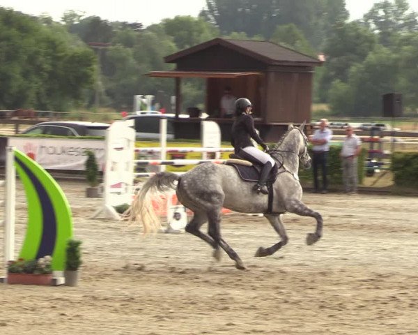 Reitturnier Neustadt/Dosse 2022
