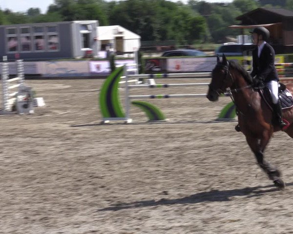 Reitturnier Neustadt/Dosse 2022