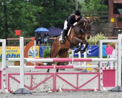 Springpferd Veltin S (Westfale, 2005, von Vulkano FRH)