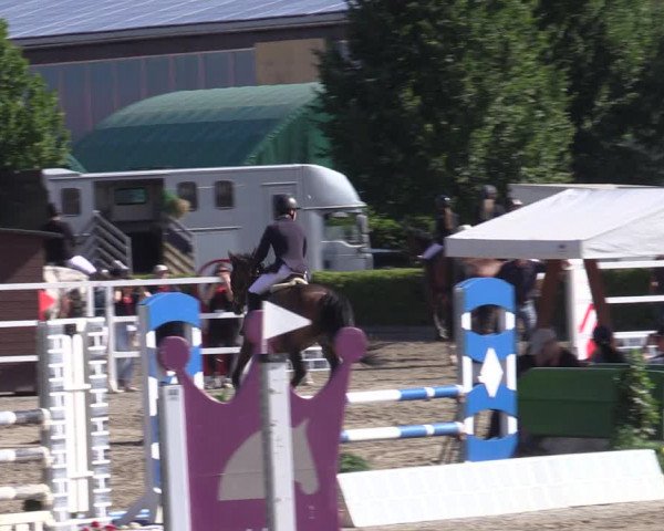 Reitturnier Neustadt/Dosse 2022