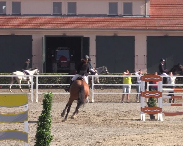 Reitturnier Neustadt/Dosse 2022