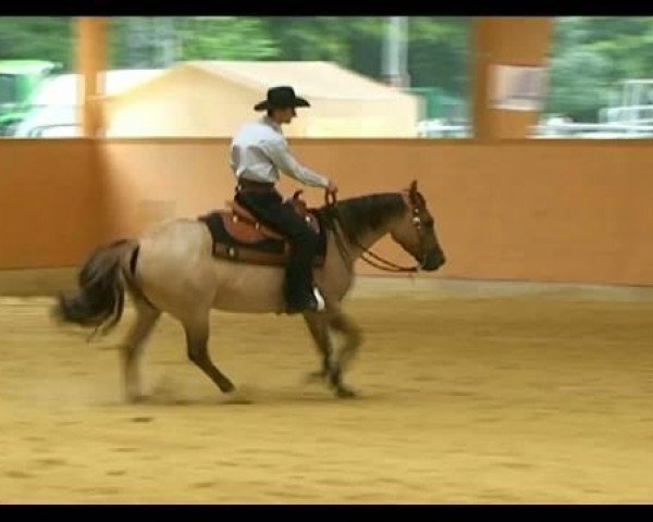 broodmare Red Steppin Chic (Quarter Horse, 2007, from Hes A Steppin Jac)