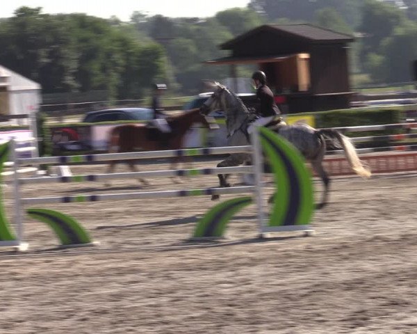 Reitturnier Neustadt/Dosse 2022