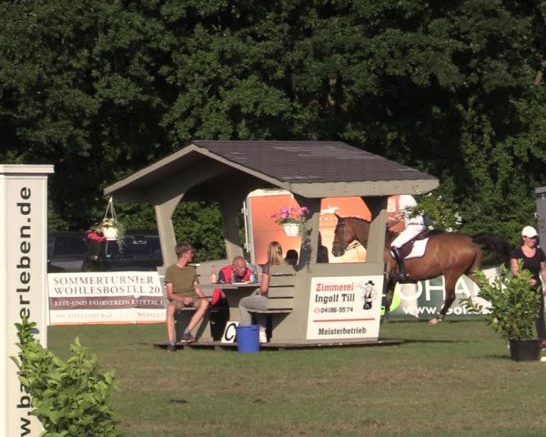Reitturnier Wohlesbostel 2022