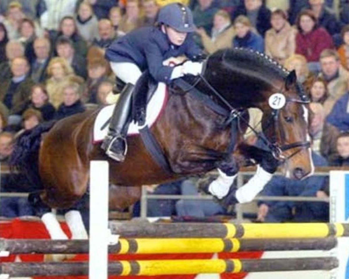 stallion Externstein (KWPN (Royal Dutch Sporthorse), 1992, from Ehrentusch)