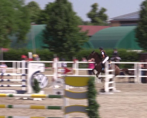 Reitturnier Neustadt/Dosse 2022