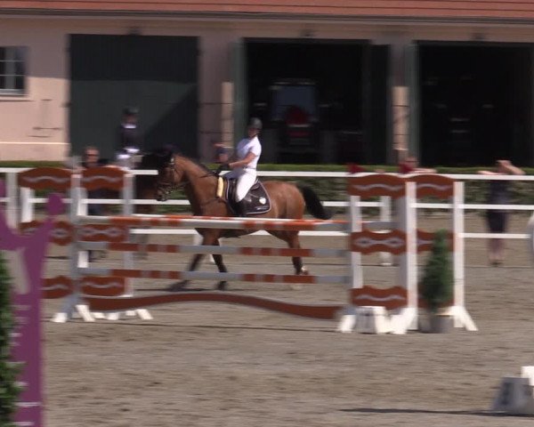 Reitturnier Neustadt/Dosse 2022