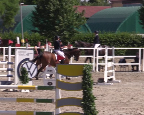 Reitturnier Neustadt/Dosse 2022